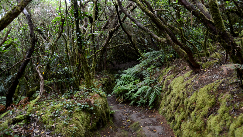 anaga rural park